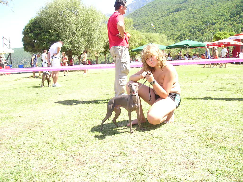 CAC a CACIB Ohrid - Makedonie 2006 Holly, Dew, Dhalgo 002