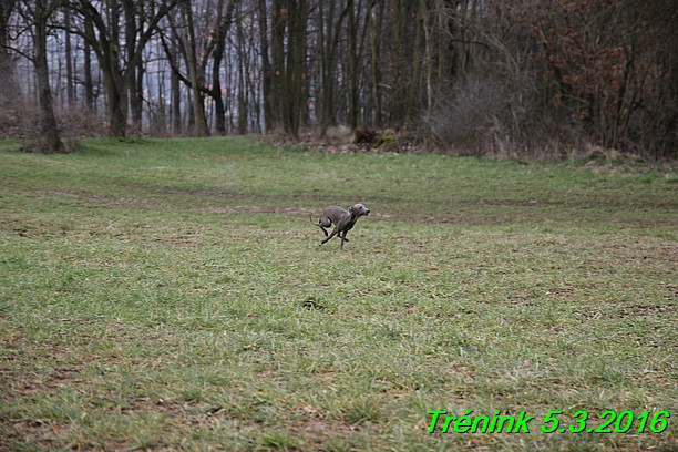 Soukromý trénink 5.3.2016 (6)