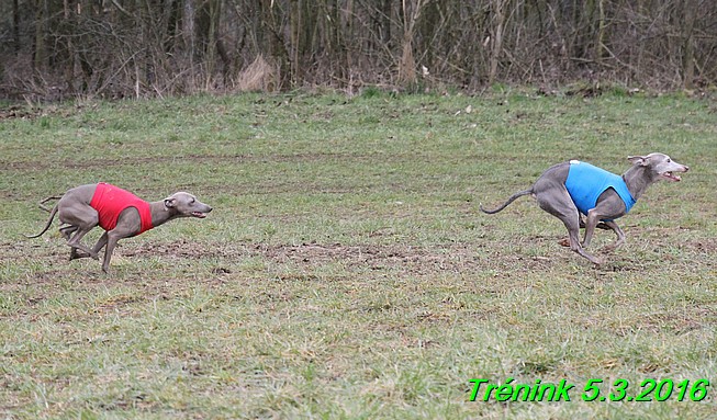 Soukromý trénink 5.3.2016 (23)