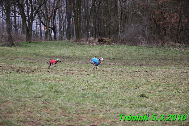 Soukromý trénink 5.3.2016 (14)