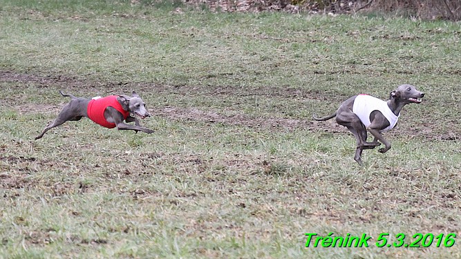 Soukromý trénink 5.3.2016 (42)