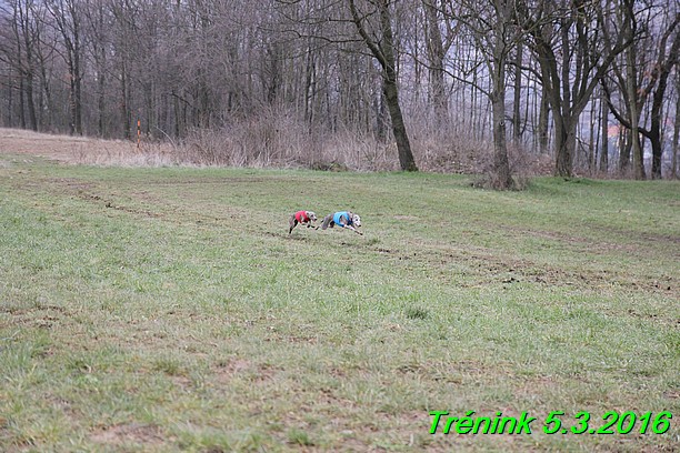 Soukromý trénink 5.3.2016 (19)