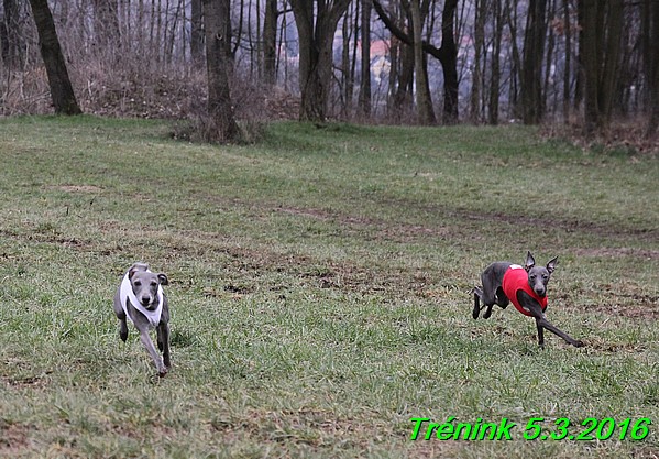 Soukromý trénink 5.3.2016 (28)