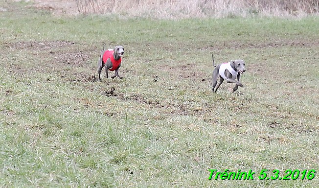 Soukromý trénink 5.3.2016 (32)