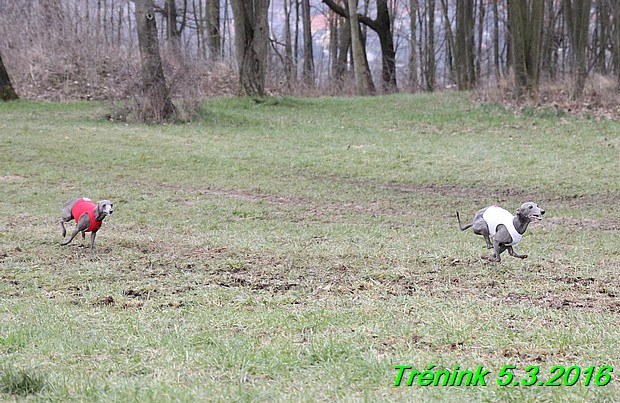 Soukromý trénink 5.3.2016 (34)