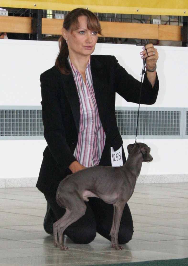 Multi Ch. Dhalgo Daimond Bugsy 8.9. 2007 National Winner, BOB, CAC Brno