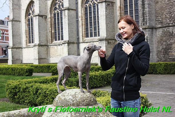 Táňa krytí v Hulst Nizozemí s Fiefoerniek's Faustino (5)