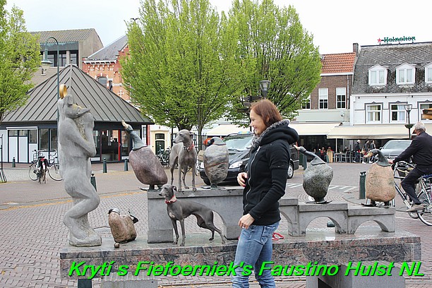 Táňa krytí v Hulst Nizozemí s Fiefoerniek's Faustino (9)