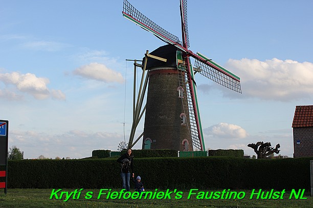 Táňa krytí v Hulst Nizozemí s Fiefoerniek's Faustino (15)
