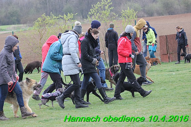 Cvicak Hannach 10.4.2016 (3)