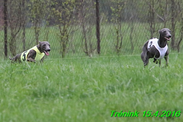 Soukromý trénink 15.4.2016 (132)