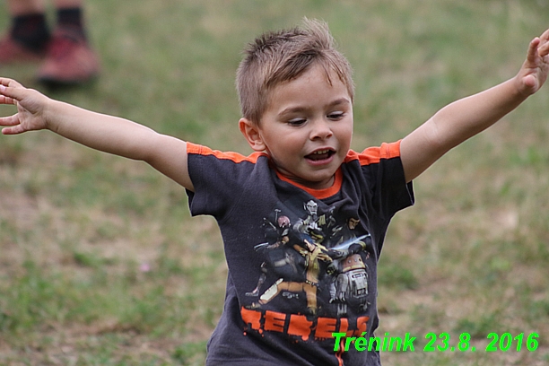 Náš trénink 23.8.2016 Všechny feny a Bertrando (3)