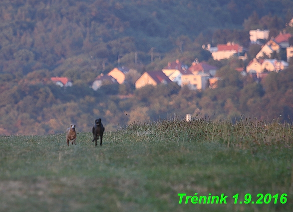 Náš trénink 1.9.2016 7