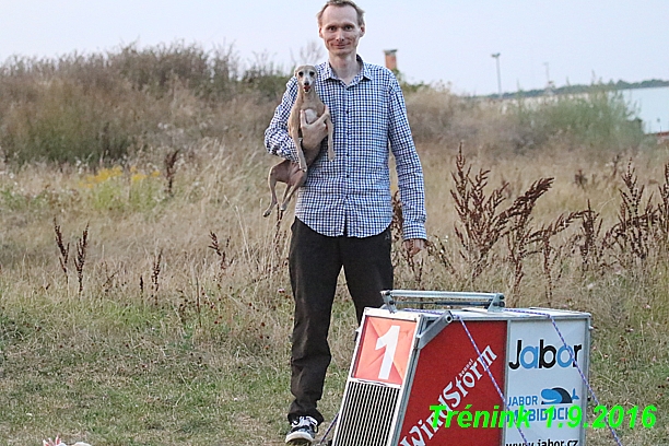 nas trenink 1.9.2016 vsechny feny,bertrando,bella (19)