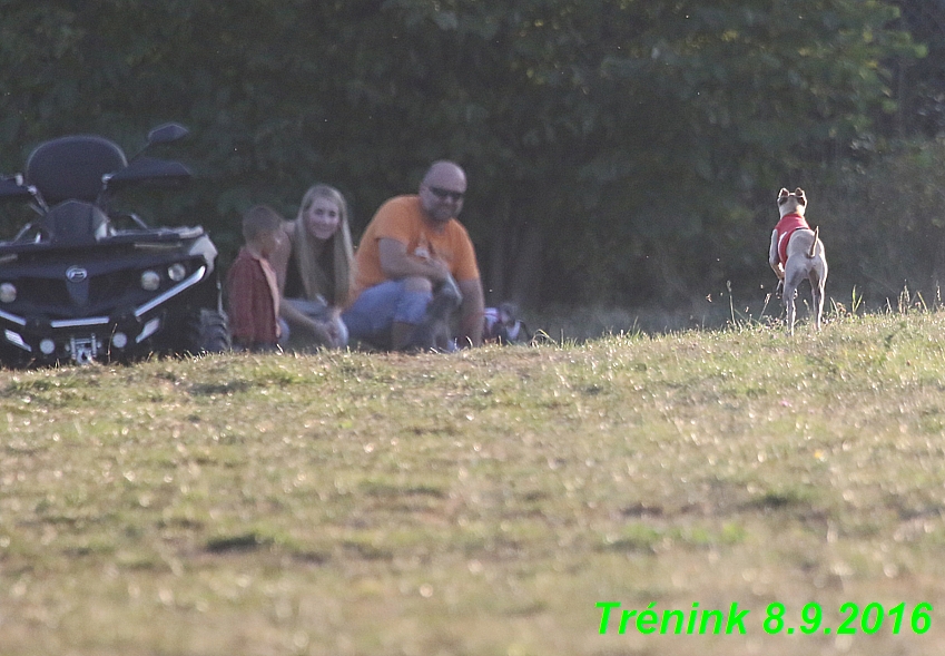 nas trenink 8.9.2016 feny,kaprice (114)