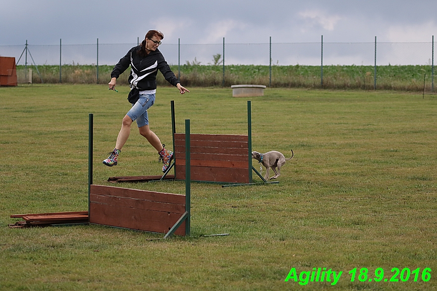 Agility 18.9.2016 Petr,Bella,Gisele,Kasha,Jesika (26)