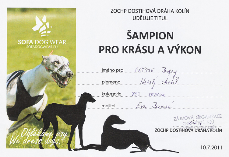 Ceysse Šampion Krasa a Vykon 2011