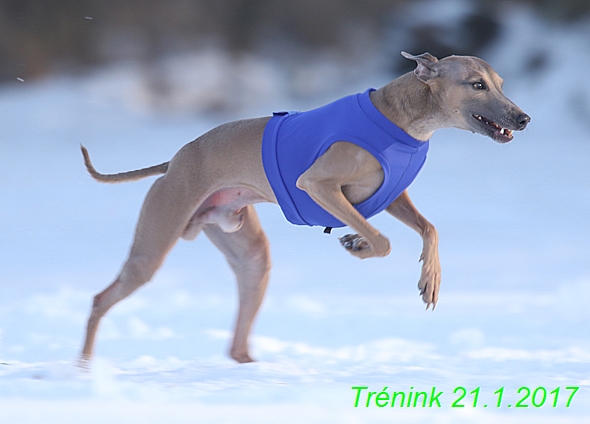 Náš trénink 21.1.2017  (1)