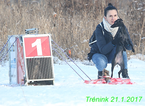 Náš trénink 21.1.2017  (23)