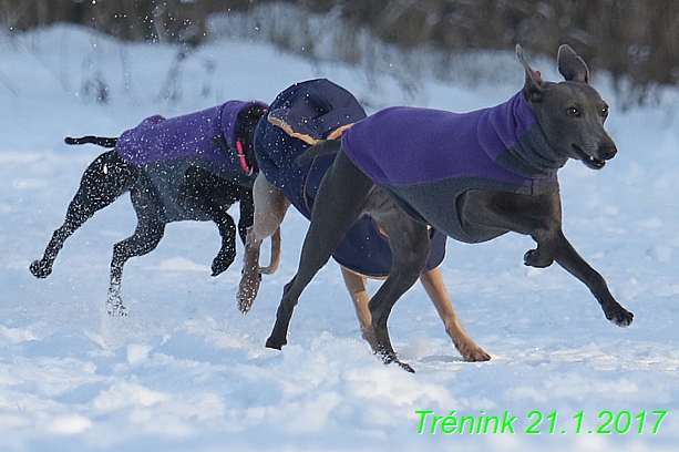 Náš trénink 21.1.2017  (40)