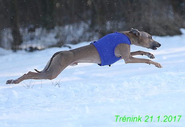 Náš trénink 21.1.2017  (42)