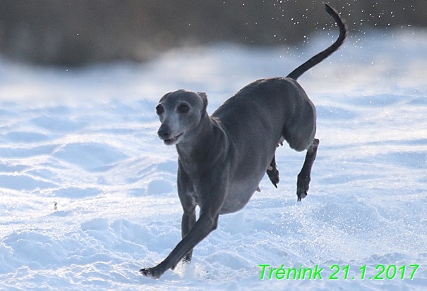 Náš trénink 21.1.2017  (44)