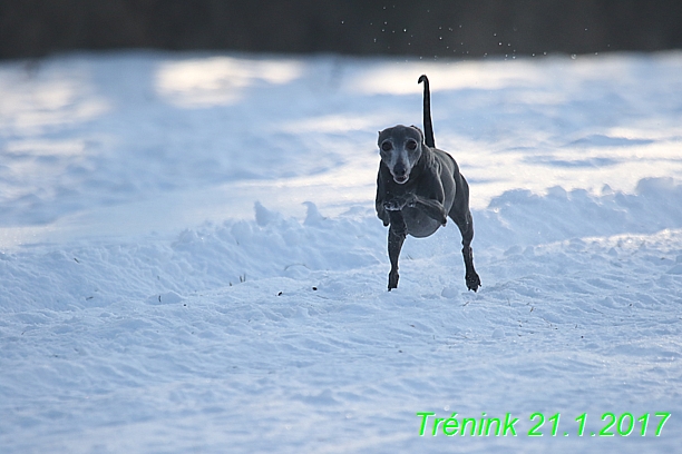 Náš trénink 21.1.2017  (45)