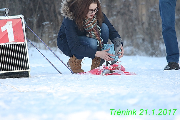 Náš trénink 21.1.2017  (46)