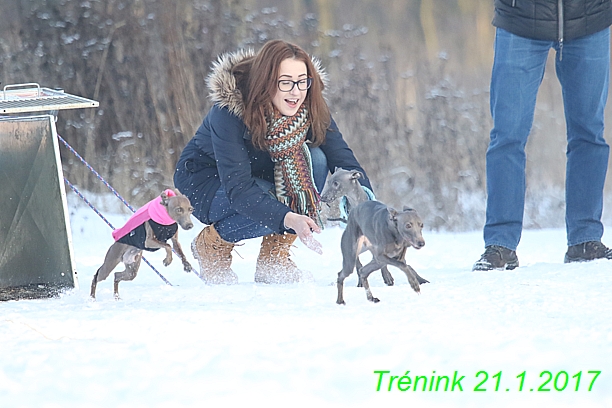 Náš trénink 21.1.2017  (48)