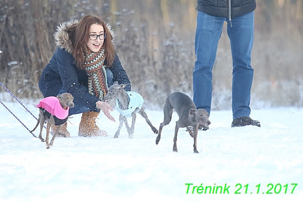 Náš trénink 21.1.2017  (49)