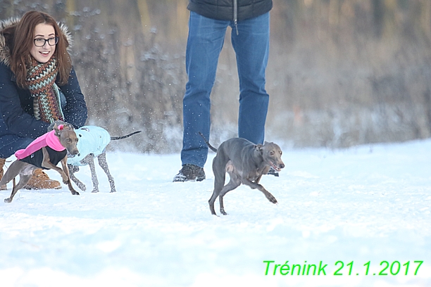 Náš trénink 21.1.2017  (50)