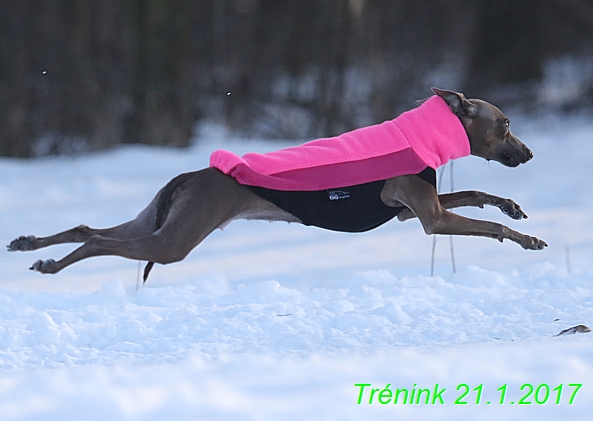 Náš trénink 21.1.2017  (51)