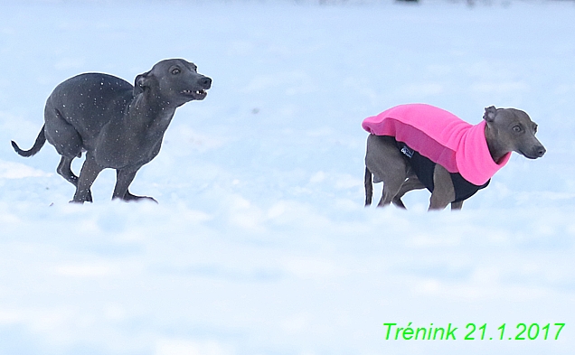 Náš trénink 21.1.2017  (55)