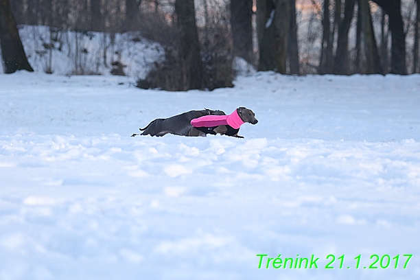 Náš trénink 21.1.2017  (58)