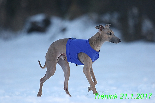 Náš trénink 21.1.2017  (64)