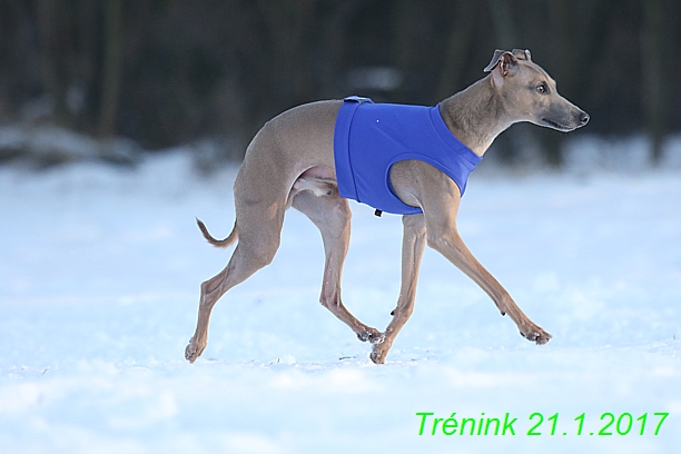 Náš trénink 21.1.2017  (65)