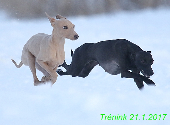 Náš trénink 21.1.2017  (70)