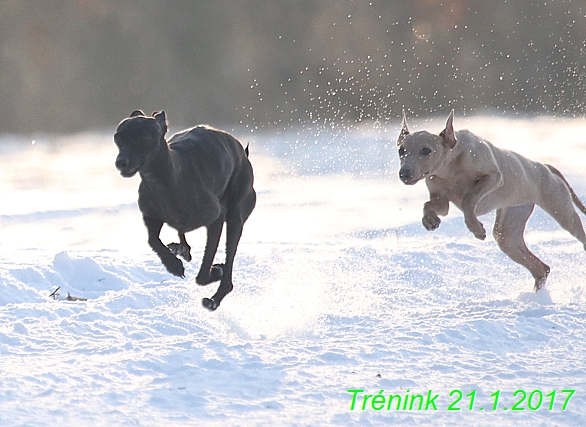 Náš trénink 21.1.2017  (78)