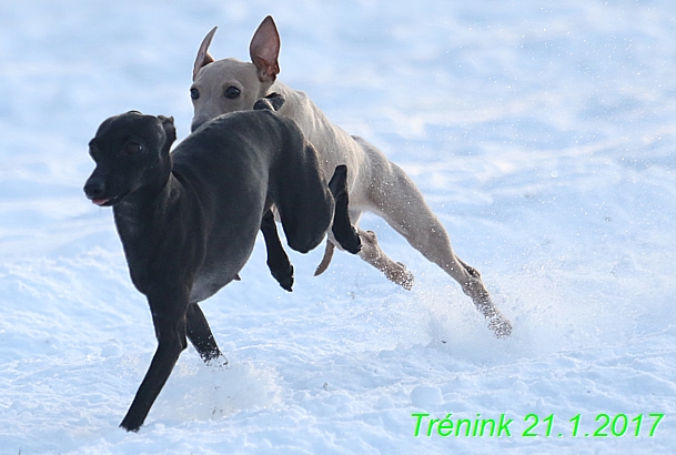 Náš trénink 21.1.2017  (79)