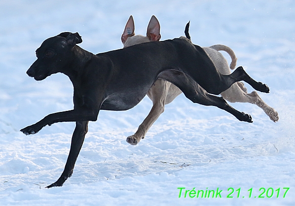 Náš trénink 21.1.2017  (80)