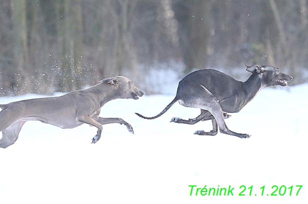 Náš trénink 21.1.2017  (86)