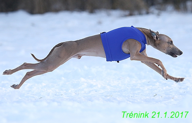 Náš trénink 21.1.2017  (91)