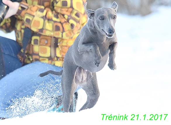 Náš trénink 21.1.2017  (99)