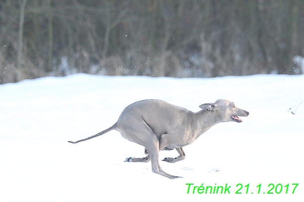 Náš trénink 21.1.2017  (112)