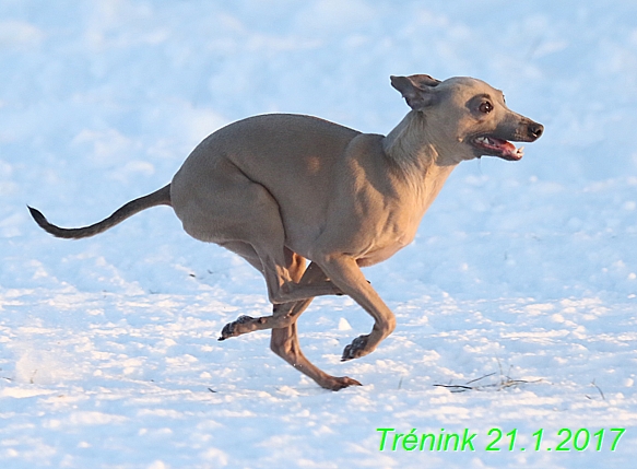 Náš trénink 21.1.2017  (128)