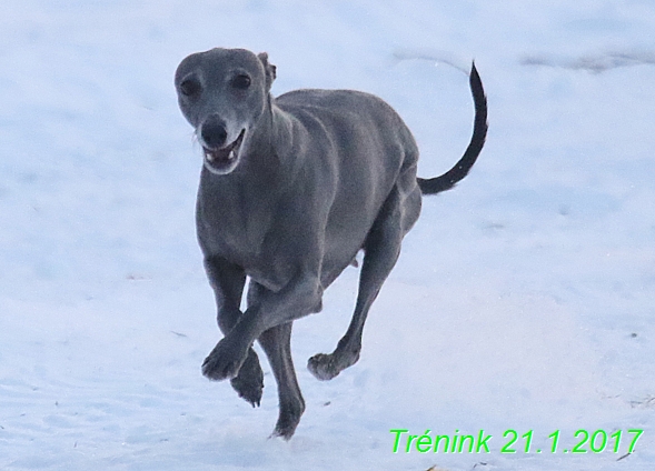 Náš trénink 21.1.2017  (140)