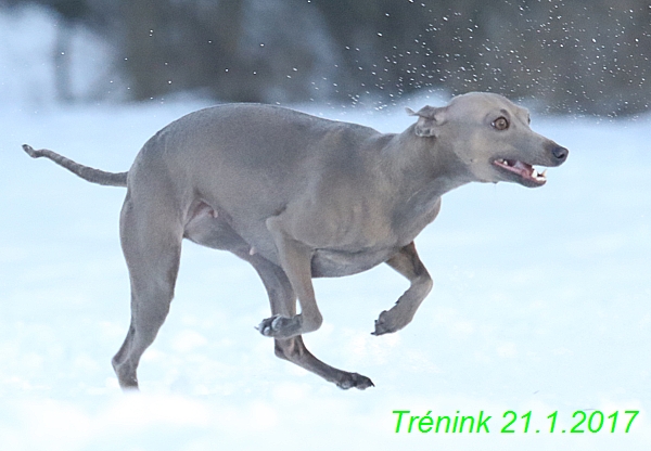 Náš trénink 21.1.2017  (109)