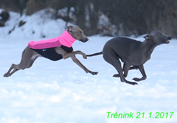 Náš trénink 21.1.2017  (61)