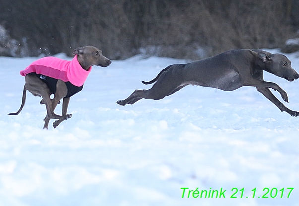 Náš trénink 21.1.2017  (62)