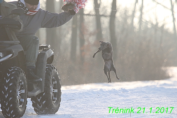 Náš trénink 21.1.2017  (68)